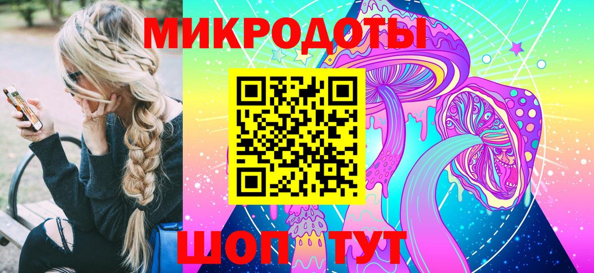 МЕФ Кимры