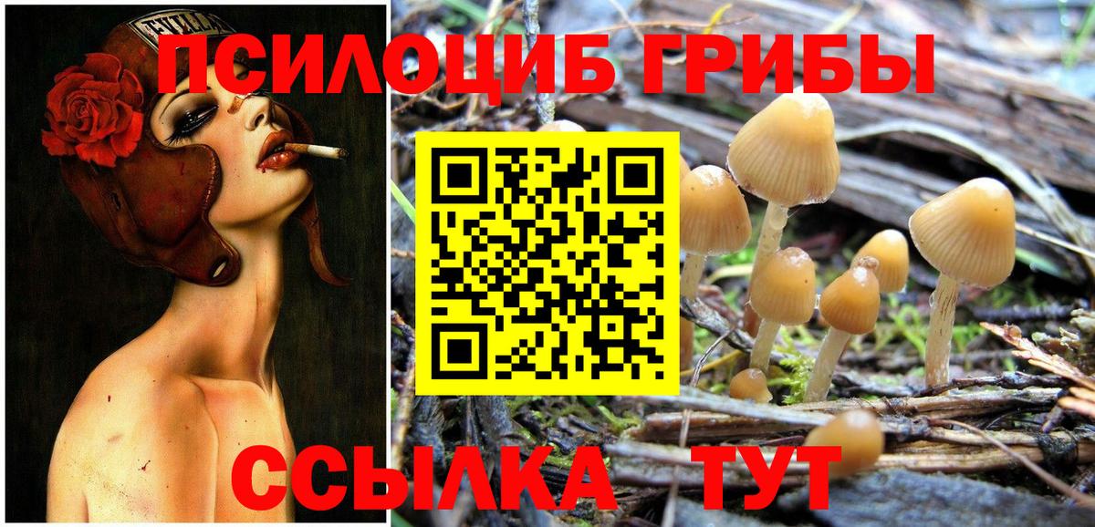 Псилоцибиновые грибы MAGIC MUSHROOMS Кимры