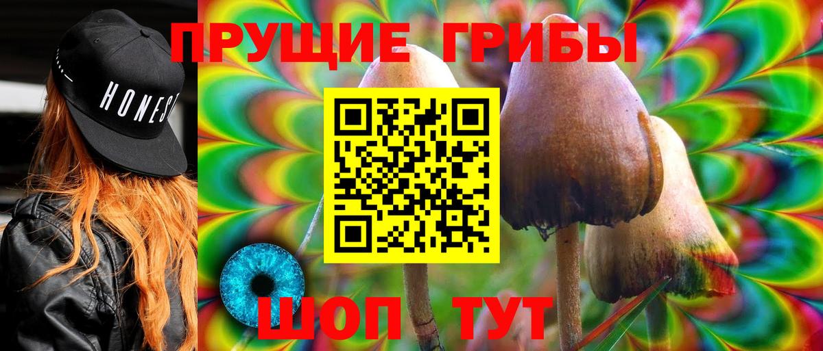 Псилоцибиновые грибы GOLDEN TEACHER  Галлюциногенные грибы Psilocybine cubensis  Кимры  Вход с VPN 