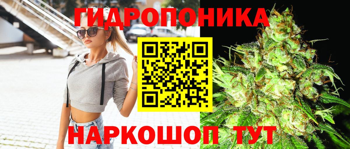 Шишки марихуана Bruce Banner  Вход с VPN  Бошки марихуана Bruce Banner  Каннабис план  Марихуана индика  Кимры 
